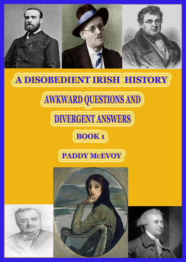 Irish History Cover lavery
